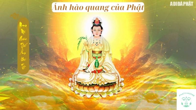 Ánh hào quang của Phật