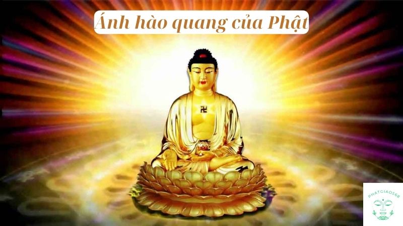 Ánh hào quang của Phật