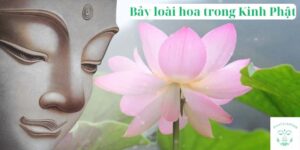 Bảy loài hoa trong Kinh Phật