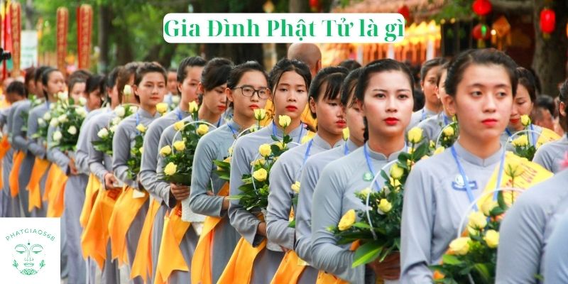 Gia Đình Phật Tử là gì